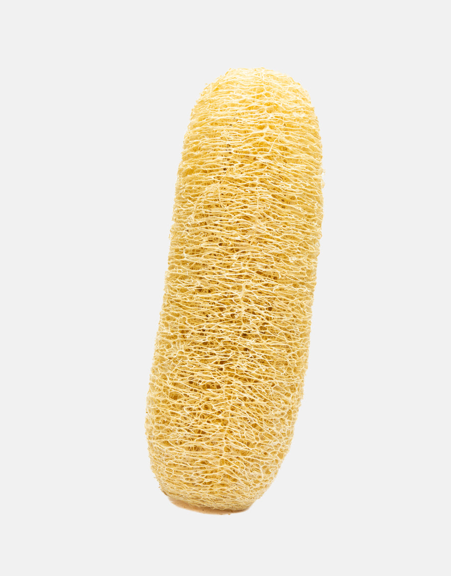 Loofah