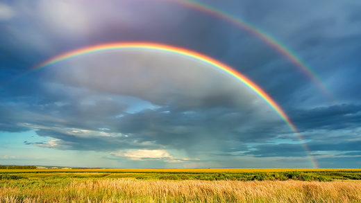 EAT THE RAINBOW FOR GLOWING SKIN