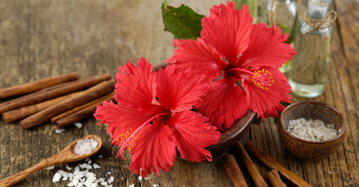 DON'T MISS OUT ON THE MAGIC SPELL OF HIBISCUS FOR LUSTROUS HAIR